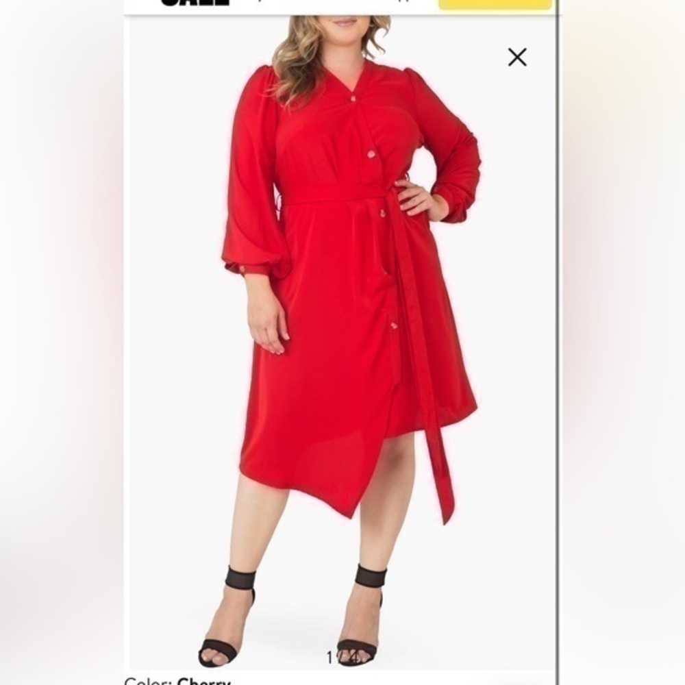 NWT Standards & Practices  Office Wear Cherry Cottagecore Size  2X